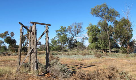 Zanci Pastoral Loop - Holiday Byron Bay 2