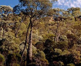 Ka Ka Mundi, Carnarvon National Park - Holiday Byron Bay 0