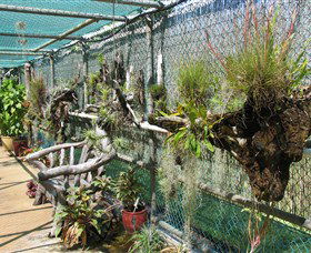 George Brown Darwin Botanic Gardens - Holiday Byron Bay 5