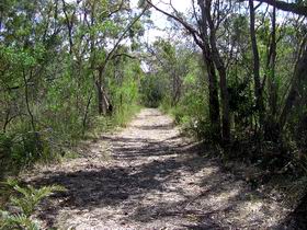 Lanky's Walk - Holiday Byron Bay 0