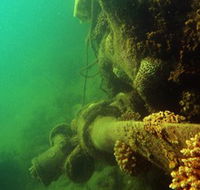 Wreck Diving at Magnetic Island