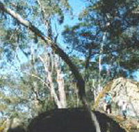 Dergholm State Park