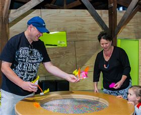 Twisted - Science At Play - Holiday Byron Bay 2