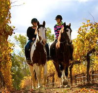 Billabong Ranch - Holiday Byron Bay
