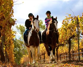 Billabong Ranch - Holiday Byron Bay 0