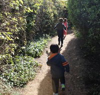 The Tangled Maze  Mistydowns Nursery - Holiday Byron Bay