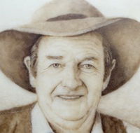 Doris Golder Wool Art Gallery - Holiday Byron Bay