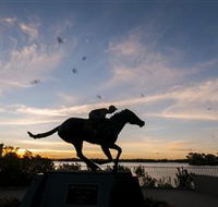 Black Caviar Statue - Holiday Byron Bay