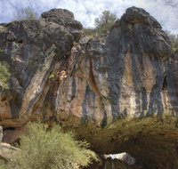 Borenore Karst Conservation Reserve
