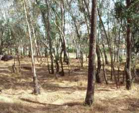 Chiltern-Mt Pilot National Park - Holiday Byron Bay 0
