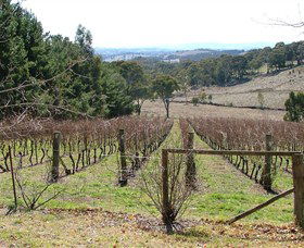 Habitat Vineyard - Holiday Byron Bay 0