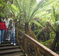 Otway Fly Treetop Adventures - Holiday Byron Bay