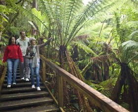 Otway Fly Treetop Adventures - Holiday Byron Bay 0
