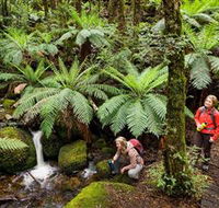 Baw Baw National Park - Holiday Byron Bay