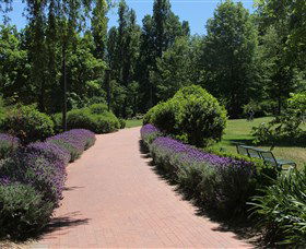 Glebe Park - Holiday Byron Bay 1
