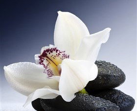 H2O Spa - Holiday Byron Bay 1