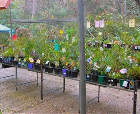 Glenbrook Native Plant Reserve And Nursery - Holiday Byron Bay 3