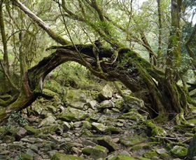 Mitchell River National Park - Holiday Byron Bay 0
