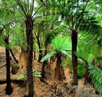 Pegarah Private Nature Reserve  Parenna Place