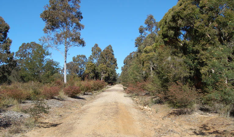 Elrington NSW Holiday Byron Bay