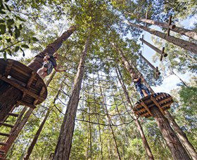 TreeTop Adventure Park Central Coast - Holiday Byron Bay 0