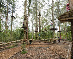 TreeTop Adventure Park Central Coast - Holiday Byron Bay 5