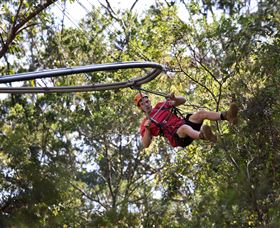 TreeTops Crazy Rider - Holiday Byron Bay 1