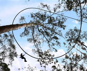 TreeTops Crazy Rider - Holiday Byron Bay 0