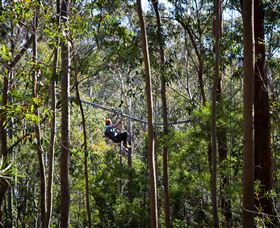 TreeTops Crazy Rider - Holiday Byron Bay 3