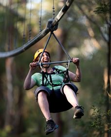 TreeTops Crazy Rider - Holiday Byron Bay 2