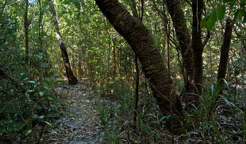 Wyrrabalong National Park - Holiday Byron Bay 2