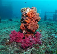 HMAS Brisbane Dive Site - Holiday Byron Bay