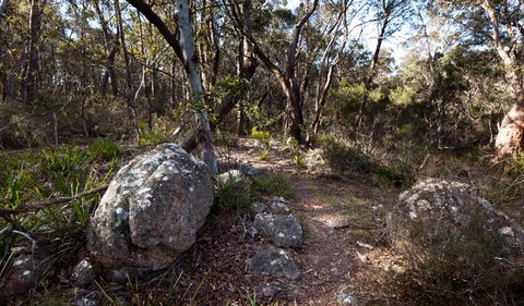 Wadbilliga National Park - Holiday Byron Bay 2