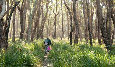 Nerindillah Lagoon Walking Track - Holiday Byron Bay 3
