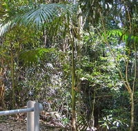 Goorgana walking track