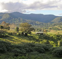 Mount Nardi picnic area - Holiday Byron Bay