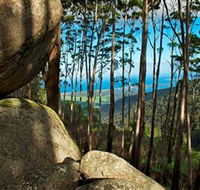 Mount Gulaga Mount Dromedary Walk