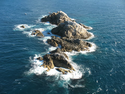 Cape Byron Marine Park - Holiday Byron Bay 1
