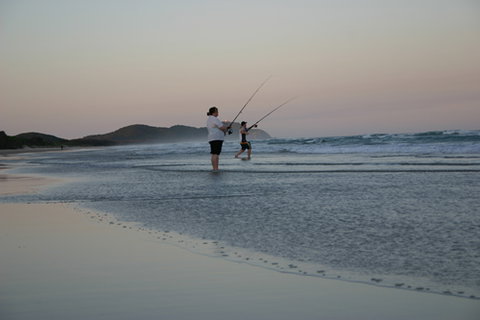 Cape Byron Marine Park - Holiday Byron Bay 2