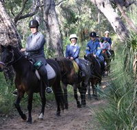 Mirravale Horse Riding School - Holiday Byron Bay