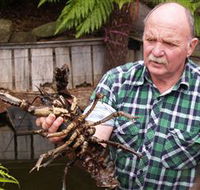 Lobster Ponds