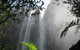 Vision Walks Eco Tours - thumb 19