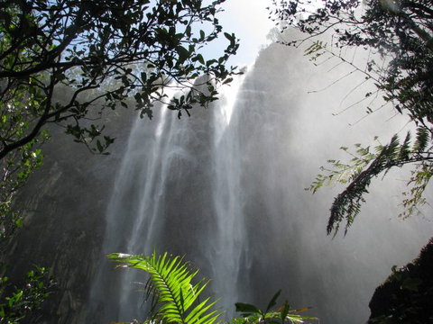 Vision Walks Eco Tours - Holiday Byron Bay 22