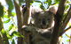 Vision Walks Eco Tours - thumb 32