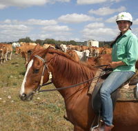 Myella Farm Stay Tours