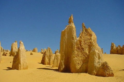 Half Day Pinnacles Sunset Tour - Holiday Byron Bay 5