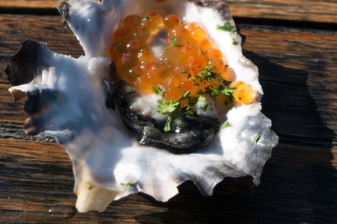 East Coast Splendour Gourmet Food Tour - Holiday Byron Bay 7