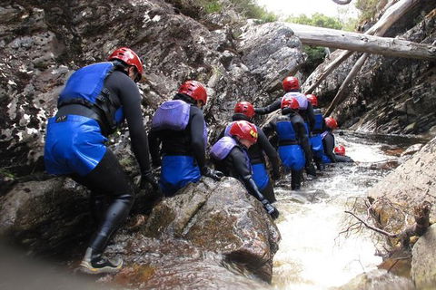 Half Day Cradle Mountain Canyoning: Lost World Canyon - Holiday Byron Bay 1