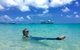 Whitehaven Beach And Hill Inlet | Awesome Beach BBQ | Family Friendly - thumb 1