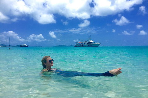 Whitehaven Beach And Hill Inlet | Awesome Beach BBQ | Family Friendly - Holiday Byron Bay 1